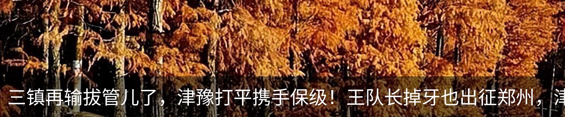 行业资讯