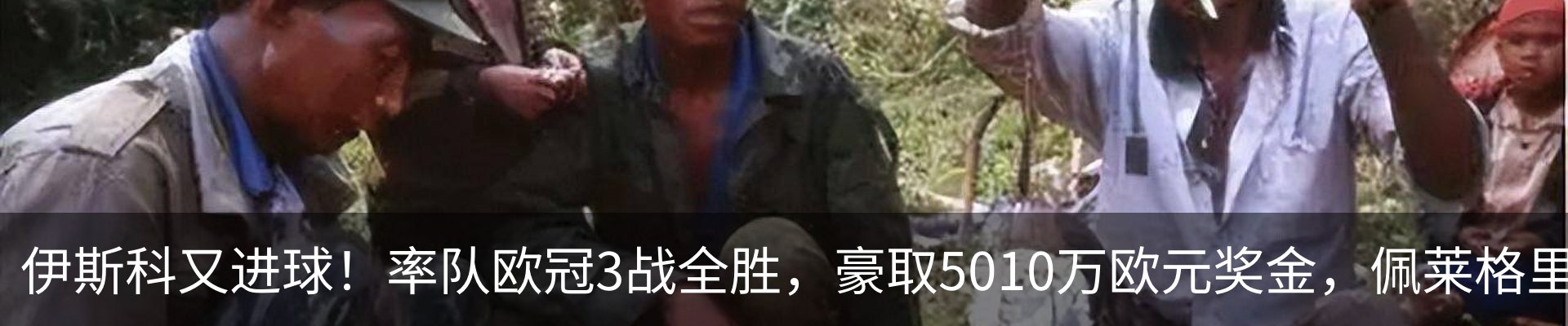行业资讯