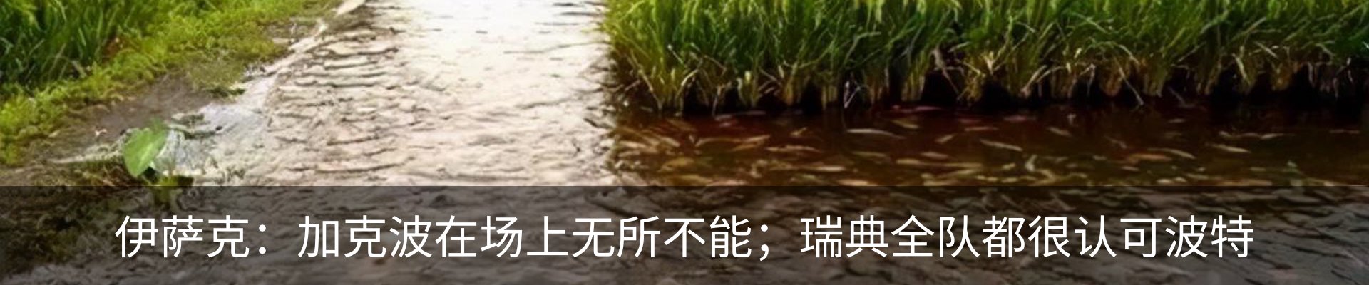 行业资讯