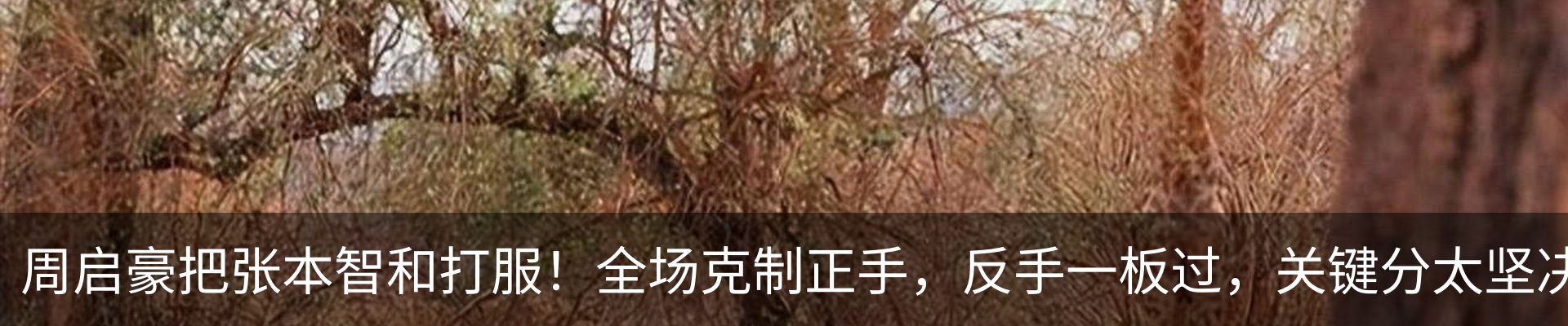 行业资讯