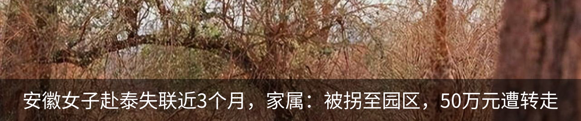 行业资讯