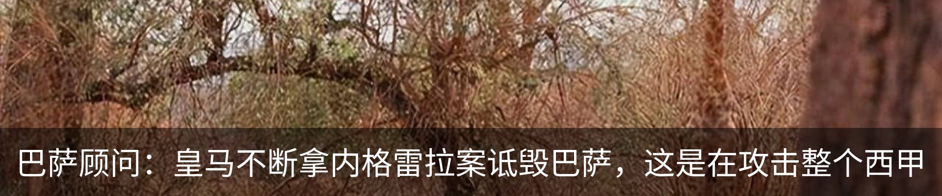 行业资讯