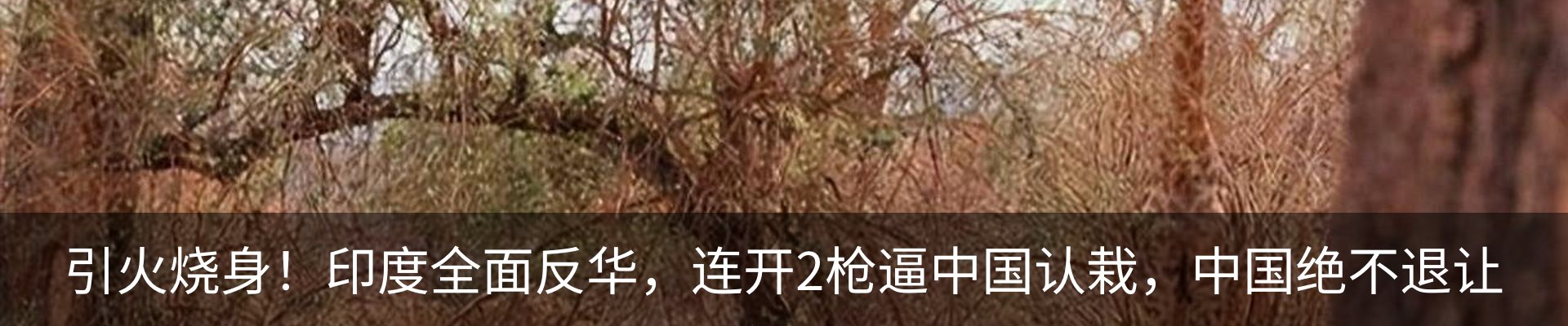 行业资讯