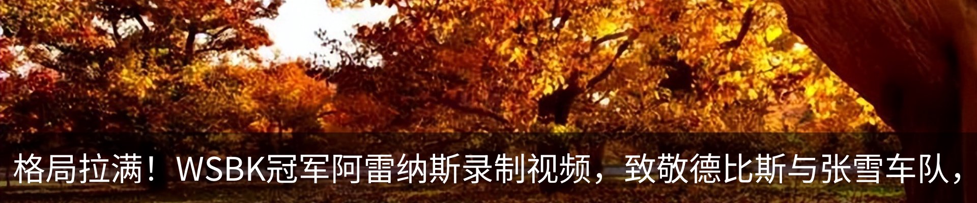 行业资讯