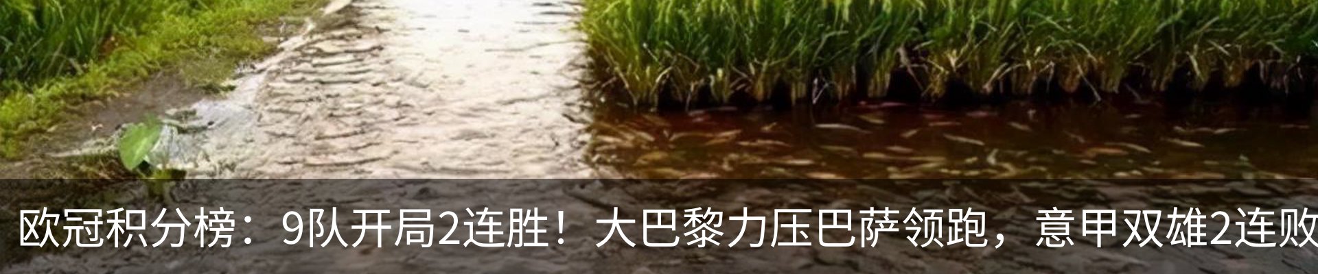 行业资讯