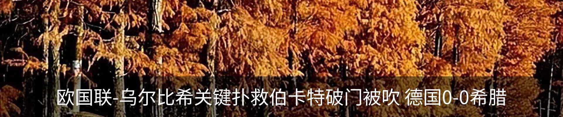 行业资讯