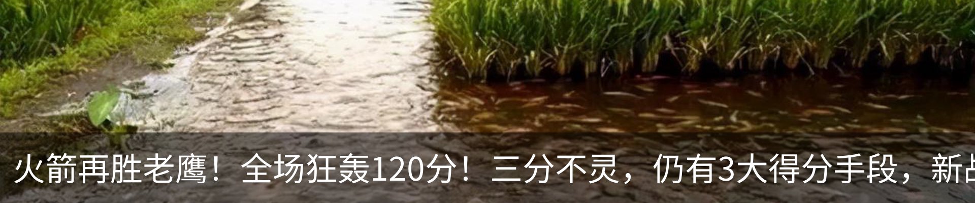 行业资讯