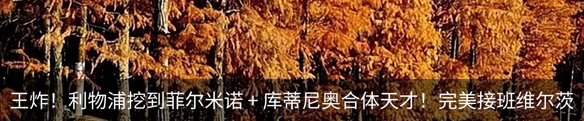 行业资讯