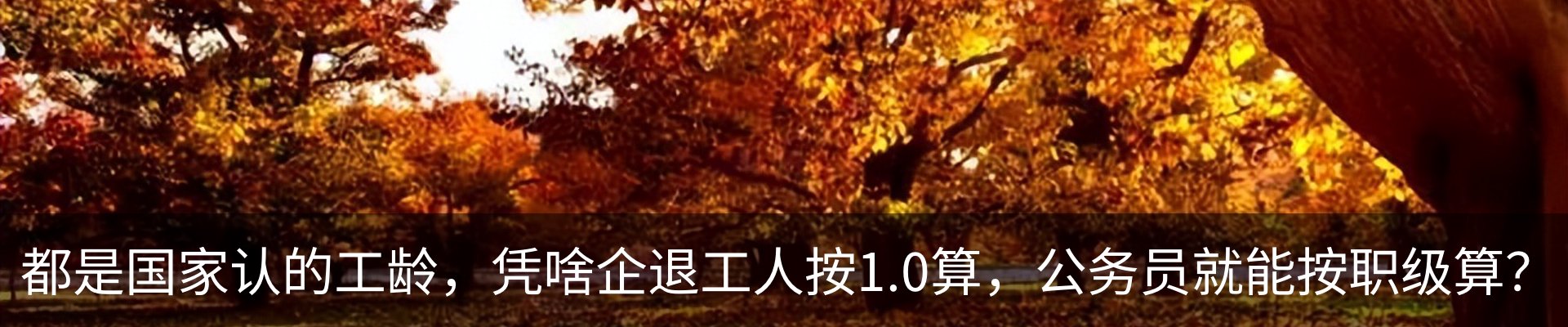 行业资讯
