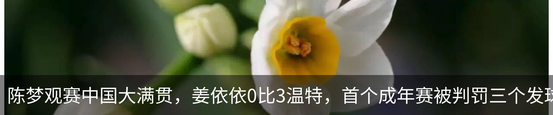 行业资讯