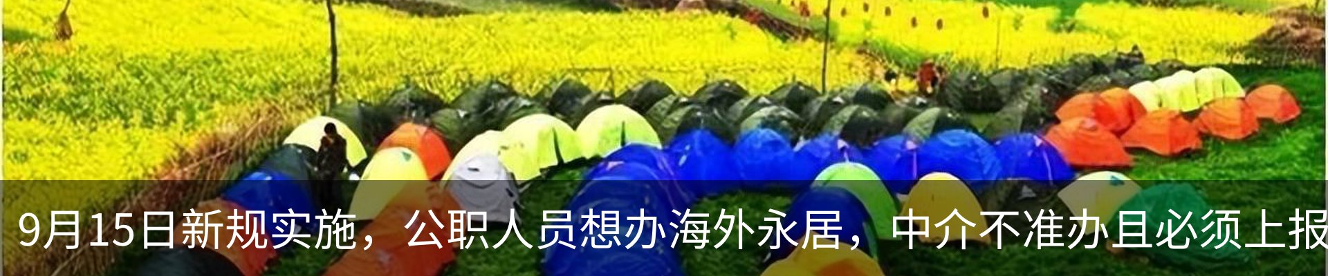 行业资讯